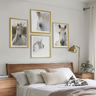 Conjunto de 4 quadros com moldura Cavalos brancos