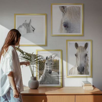 Conjunto de 4 quadros com moldura Cavalos brancos