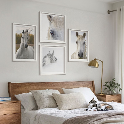 Conjunto de 4 quadros com moldura Cavalos brancos