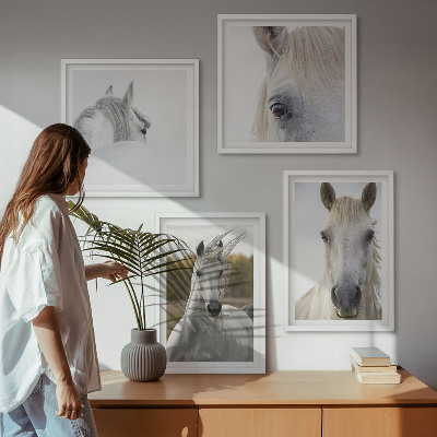 Conjunto de 4 quadros com moldura Cavalos brancos