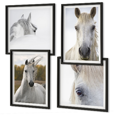 Conjunto de 4 quadros com moldura Cavalos brancos