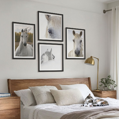 Conjunto de 4 quadros com moldura Cavalos brancos