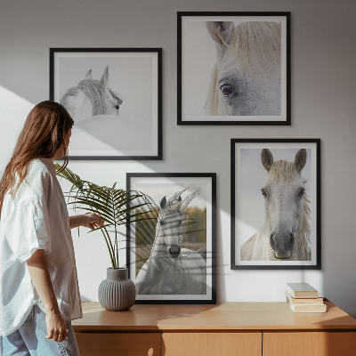 Conjunto de 4 quadros com moldura Cavalos brancos