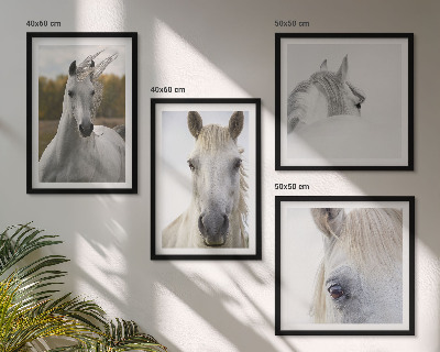 Conjunto de 4 quadros com moldura Cavalos brancos