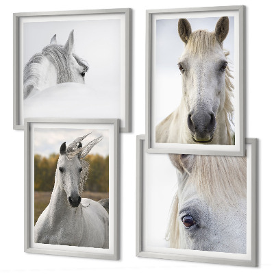 Conjunto de 4 quadros com moldura Cavalos brancos