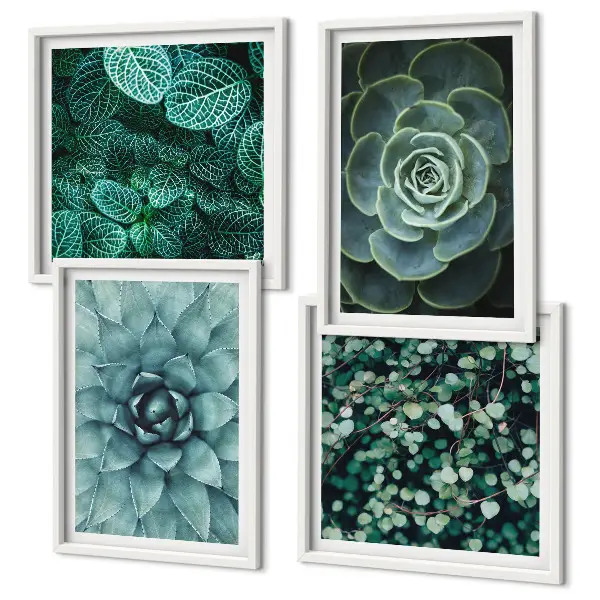Conjunto de 4 quadros com moldura com estampas de suculentas em tons de verde e turquesa