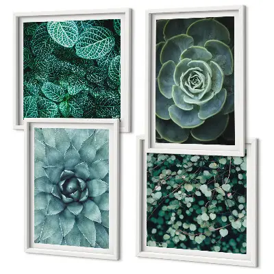 Conjunto de 4 quadros com moldura com estampas de suculentas em tons de verde e turquesa