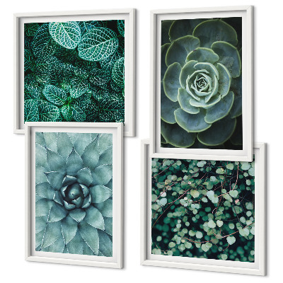Conjunto de 4 quadros com moldura Suculentas em tons de verde e turquesa.