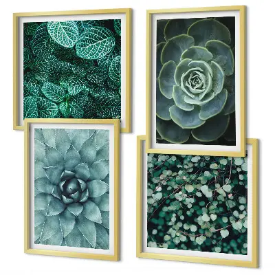 Conjunto de 4 quadros com moldura com estampas de suculentas em tons de verde e turquesa