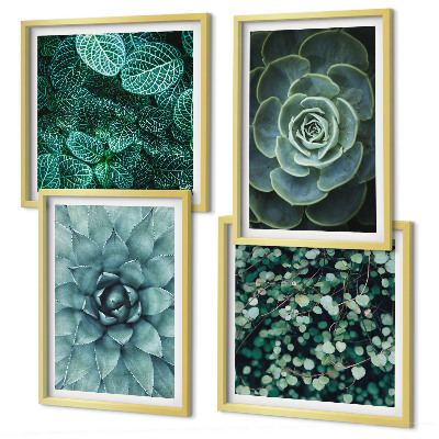 Conjunto de 4 quadros com moldura Suculentas em tons de verde e turquesa.