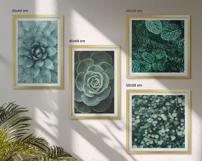 Conjunto de 4 quadros com moldura com estampas de suculentas em tons de verde e turquesa