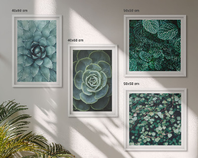 Conjunto de 4 quadros com moldura Suculentas em tons de verde e turquesa.
