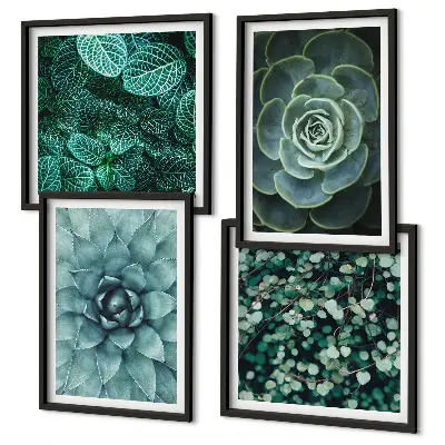 Conjunto de 4 quadros com moldura com estampas de suculentas em tons de verde e turquesa