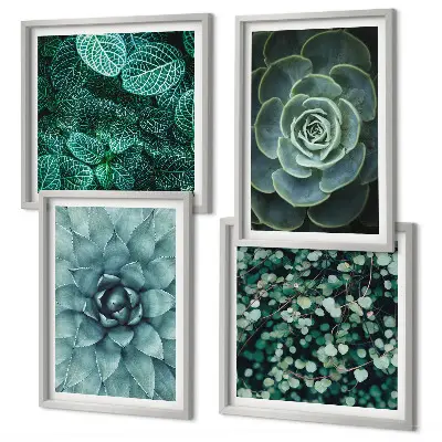Conjunto de 4 quadros com moldura com estampas de suculentas em tons de verde e turquesa