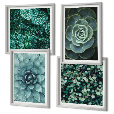 Conjunto de 4 quadros com moldura Suculentas em tons de verde e turquesa.