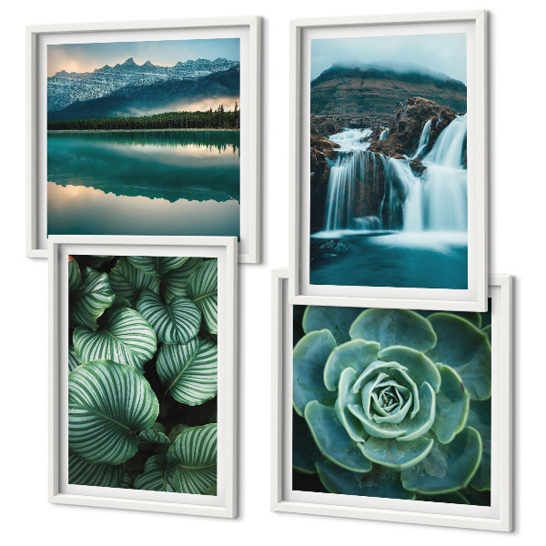 Políptico com moldura Fotos em close-up de folhas de plantas suculentas