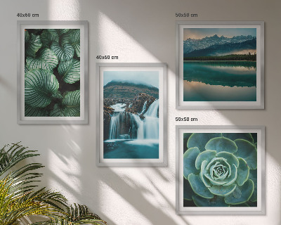 Políptico com moldura Fotos em close-up de folhas de plantas suculentas