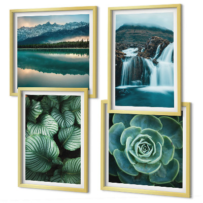 Políptico com moldura Fotos em close-up de folhas de plantas suculentas