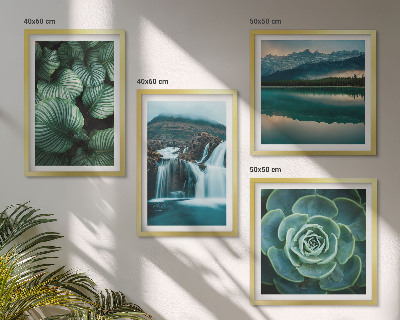 Políptico com moldura Fotos em close-up de folhas de plantas suculentas