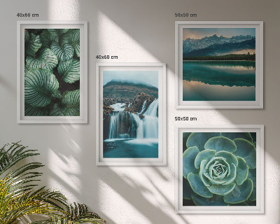 Políptico com moldura Fotos em close-up de folhas de plantas suculentas