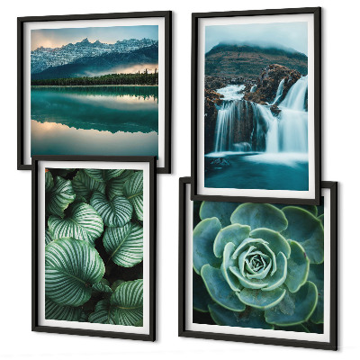 Políptico com moldura Fotos em close-up de folhas de plantas suculentas