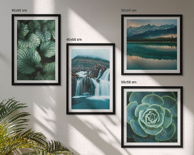 Políptico com moldura Fotos em close-up de folhas de plantas suculentas