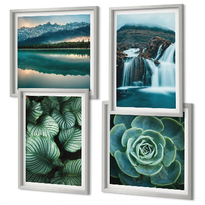 Políptico com moldura Fotos em close-up de folhas de plantas suculentas