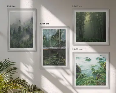 Composição de quadros floresta com nevoeiro no rio e plantas de estufa