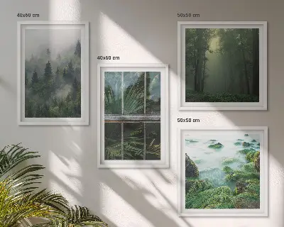 Composição de quadros floresta com nevoeiro no rio e plantas de estufa