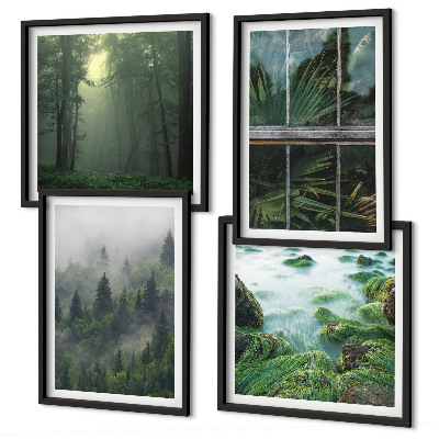 Composição de quadros floresta nevoeiro rio estufa plantas