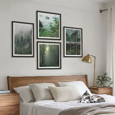 Composição de quadros floresta com nevoeiro no rio e plantas de estufa