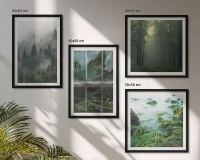 Composição de quadros floresta com nevoeiro no rio e plantas de estufa