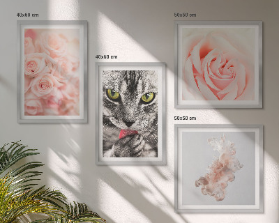 Conjunto de 4 quadros com moldura Rosas cinza-gato abstratas