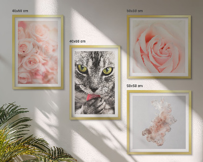 Conjunto de 4 quadros com moldura Rosas cinza-gato abstratas