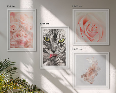 Conjunto de 4 quadros com moldura Rosas cinza-gato abstratas