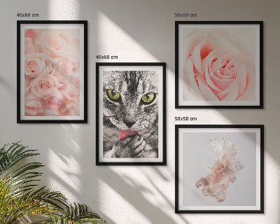 Conjunto de 4 quadros com moldura Rosas cinza-gato abstratas