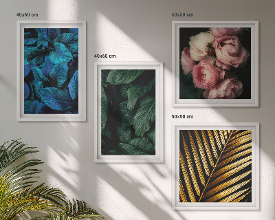 Composição de quadros Folhas e flores em cores