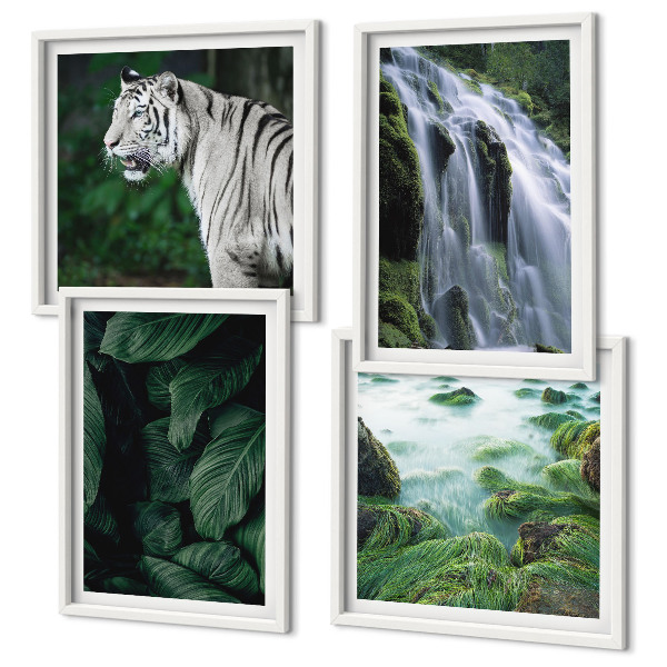 Conjunto de 4 quadros com moldura Folhas da cachoeira do tigre branco