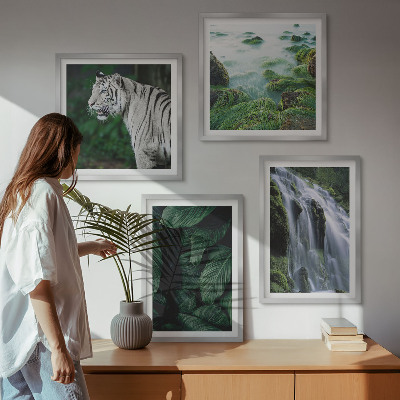 Conjunto de 4 quadros com moldura Folhas da cachoeira do tigre branco