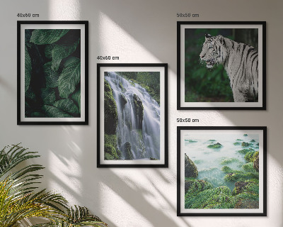 Conjunto de 4 quadros com moldura Folhas da cachoeira do tigre branco
