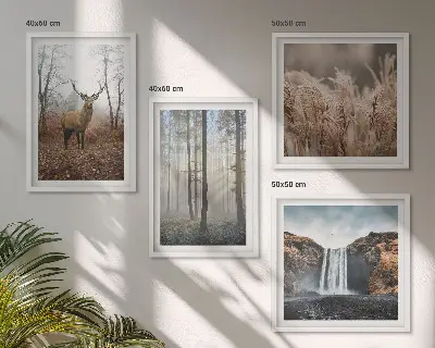 Políptico com moldura paisagens de natureza selvagem com florestas