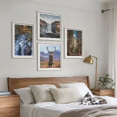 Composição de quadros com paisagem de cachoeira, floresta, montanhas e veado na natureza