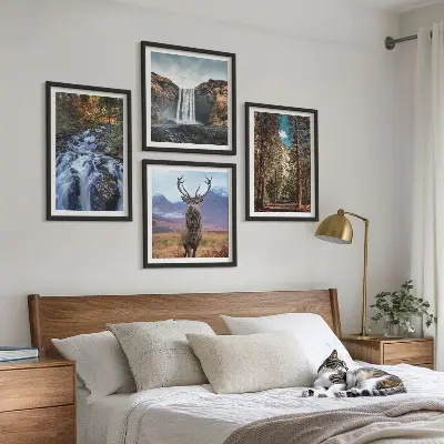 Composição de quadros com paisagem de cachoeira, floresta, montanhas e veado na natureza