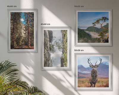 Conjunto de 4 quadros com moldura Estrada floresta montanhas veado natureza