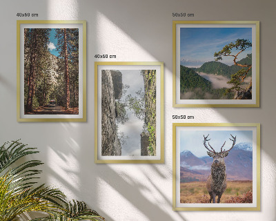 Conjunto de 4 quadros com moldura Estrada floresta montanhas veado natureza