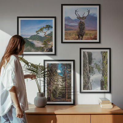 Conjunto de 4 quadros com moldura Estrada floresta montanhas veado natureza