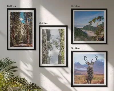 Conjunto de 4 quadros com moldura com paisagem de estrada na floresta com montanhas e veado