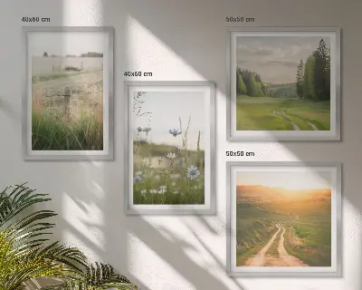 Composição de quadros com paisagens de natureza, campos e sol