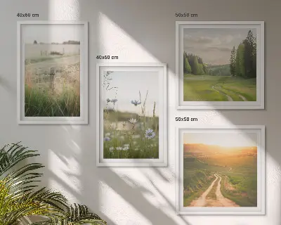 Composição de quadros com paisagens de natureza, campos e sol