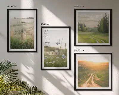 Composição de quadros com paisagens de natureza, campos e sol